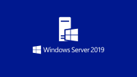 P71-09072 Windows Svr Datacntr 2019 Russian 1pk DSP OEI 2Cr  NoMedia/NoKey AddLic